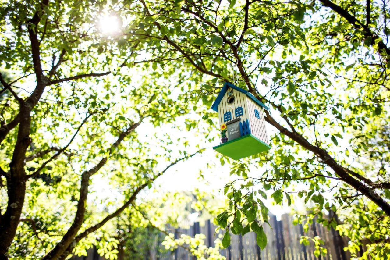 Loft Wapiti Villa Hutisko Kültér fotó